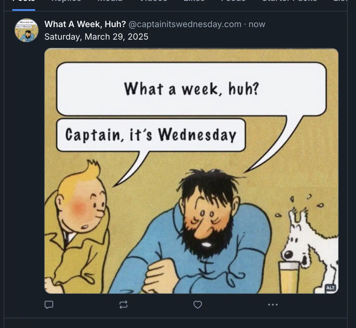 Captain its Wednesday screenshot